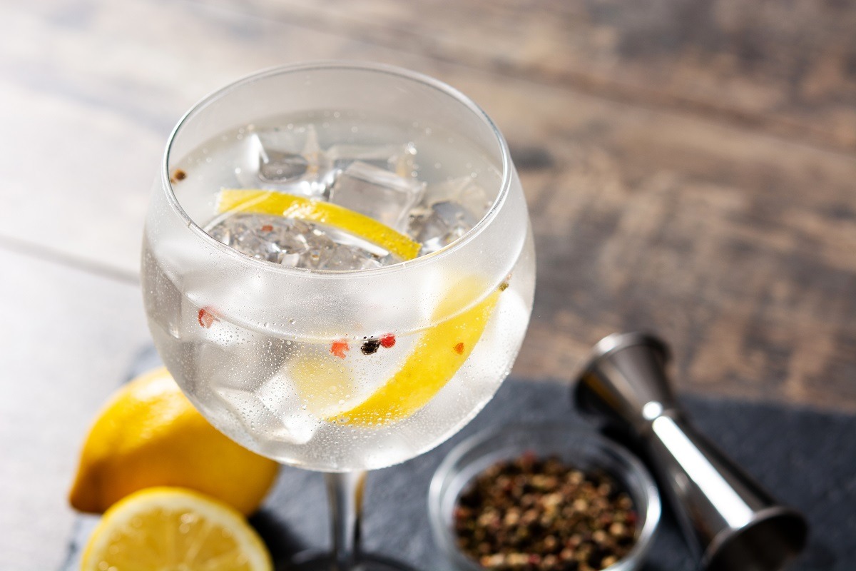 Cocktail a base di gin: come prepararli a casa
